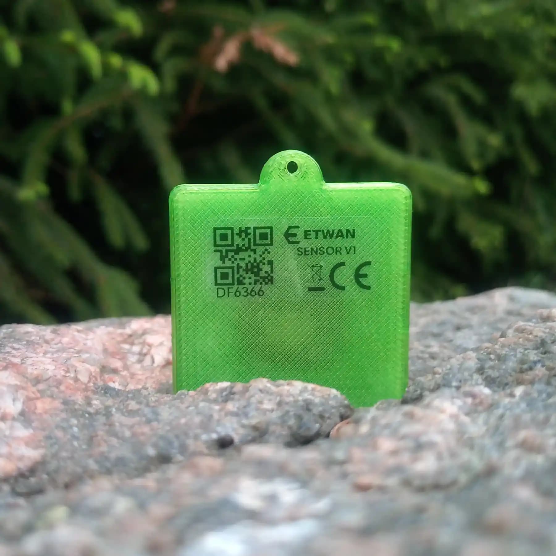 ETWAN Sensor V1 — inside view